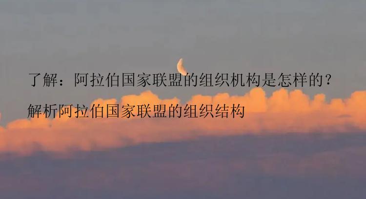 了解：阿拉伯国家联盟的组织机构是怎样的？

解析阿拉伯国家联盟的组织结构