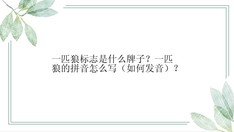 一匹狼标志是什么牌子？一匹狼的拼音怎么写（如何发音）？