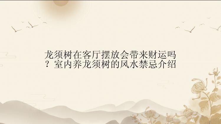 龙须树在客厅摆放会带来财运吗？室内养龙须树的风水禁忌介绍