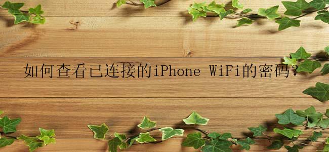 如何查看已连接的iPhone WiFi的密码？