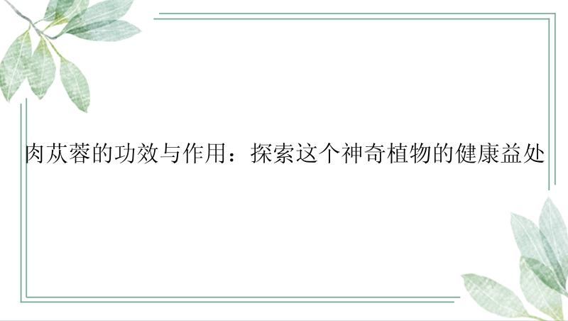 肉苁蓉的功效与作用：探索这个神奇植物的健康益处