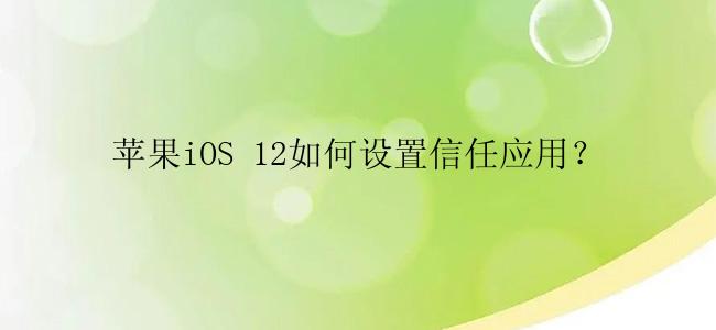 苹果iOS 12如何设置信任应用？