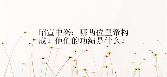 昭宣中兴：哪两位皇帝构成？他们的功绩是什么？