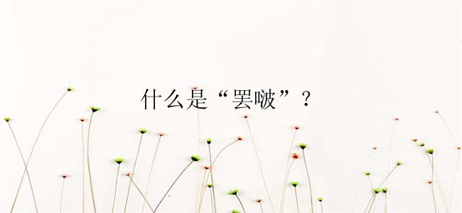 什么是“罢啵”？