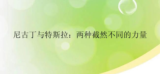 尼古丁与特斯拉：两种截然不同的力量