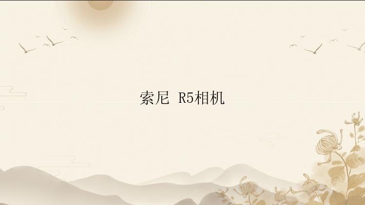 索尼 R5相机