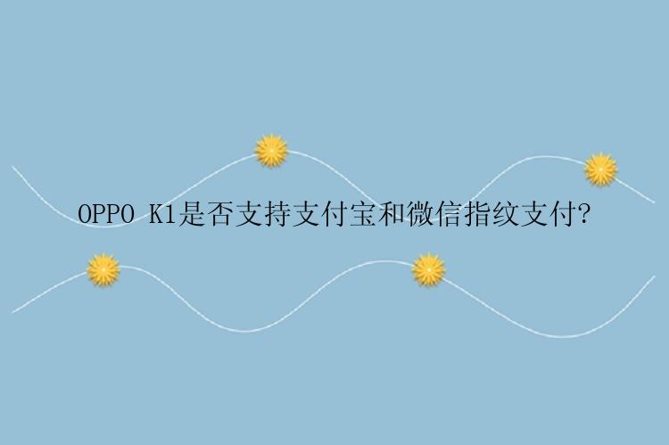 OPPO K1是否支持支付宝和微信指纹支付?