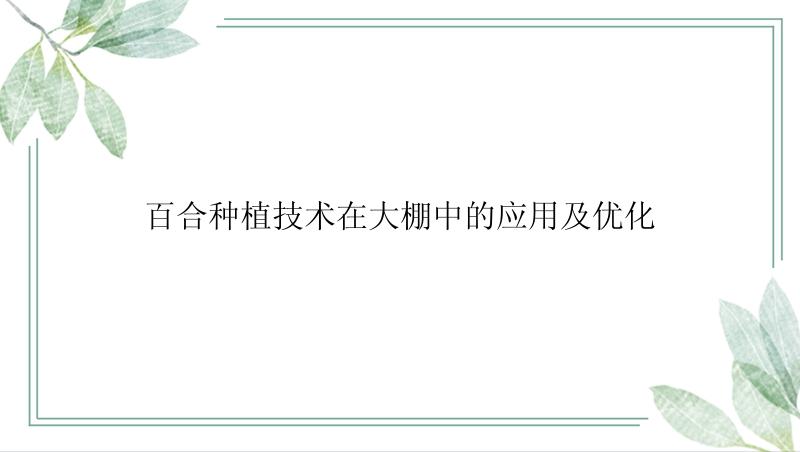 百合种植技术在大棚中的应用及优化