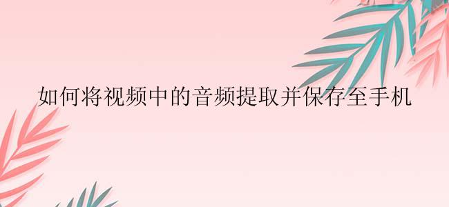 如何将视频中的音频提取并保存至手机