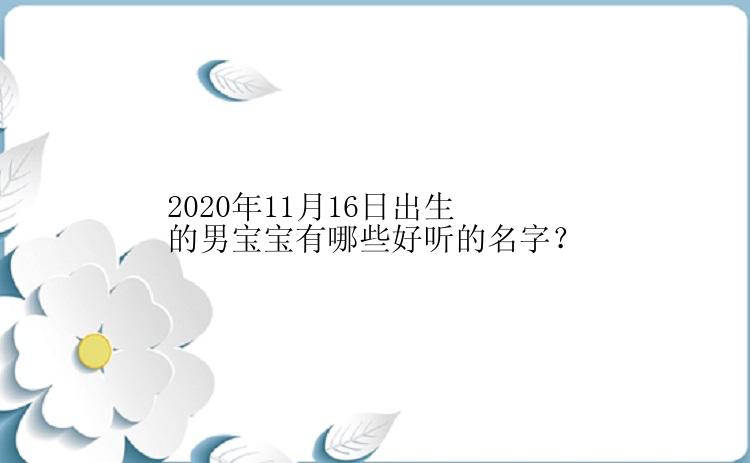 2020年11月16日出生的男宝宝有哪些好听的名字？