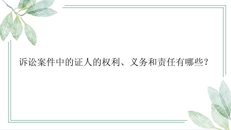 诉讼案件中的证人的权利、义务和责任有哪些？