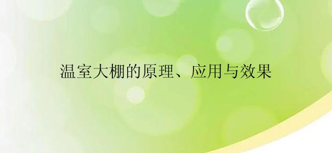 温室大棚的原理、应用与效果