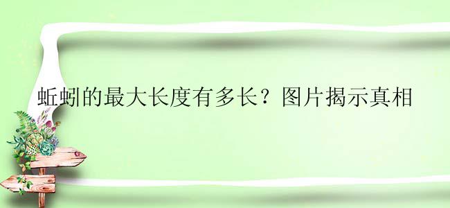 蚯蚓的最大长度有多长？图片揭示真相