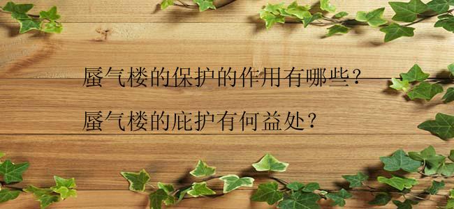 蜃气楼的保护的作用有哪些？

蜃气楼的庇护有何益处？