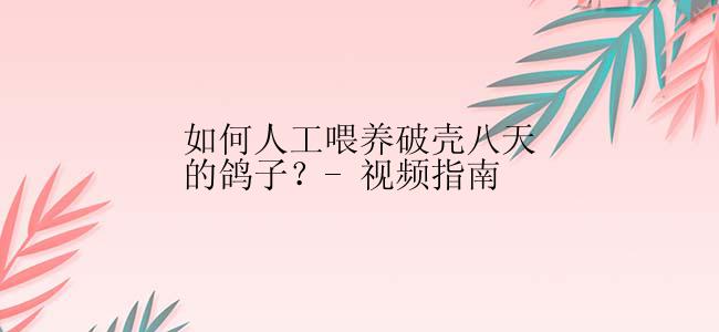 如何人工喂养破壳八天的鸽子？- 视频指南