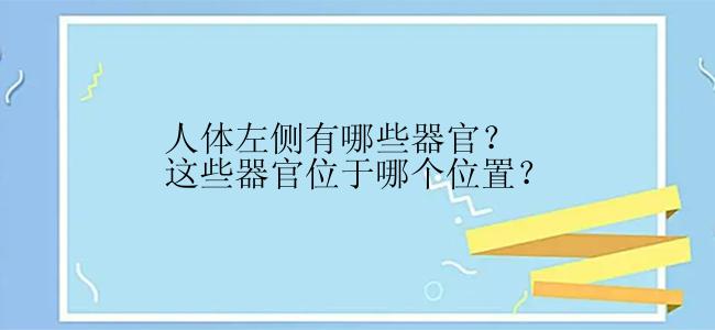 人体左侧有哪些器官？这些器官位于哪个位置？