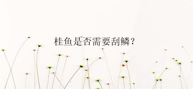 桂鱼是否需要刮鳞？