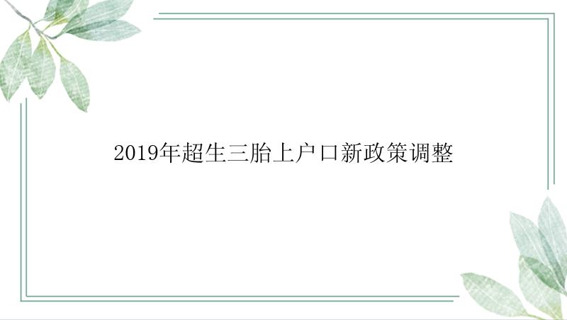 2019年超生三胎上户口新政策调整