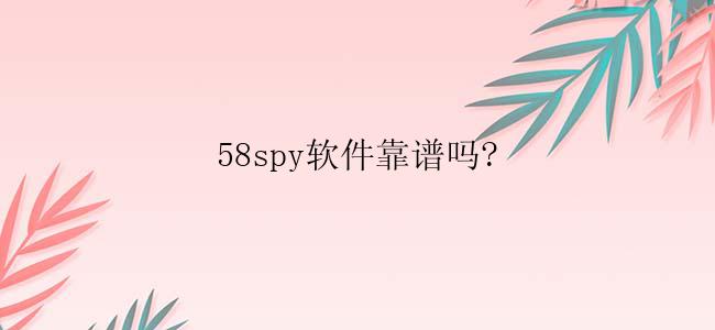 58spy软件靠谱吗?