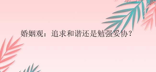 婚姻观：追求和谐还是勉强妥协？