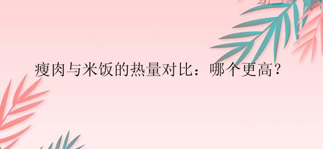 瘦肉与米饭的热量对比：哪个更高？