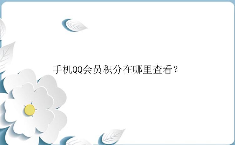 手机QQ会员积分在哪里查看？