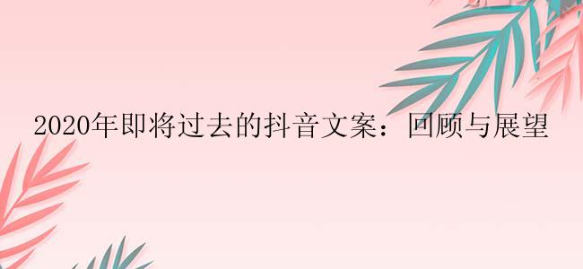 2020年即将过去的抖音文案：回顾与展望