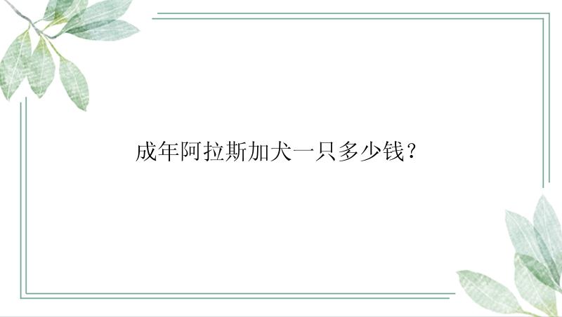 成年阿拉斯加犬一只多少钱？