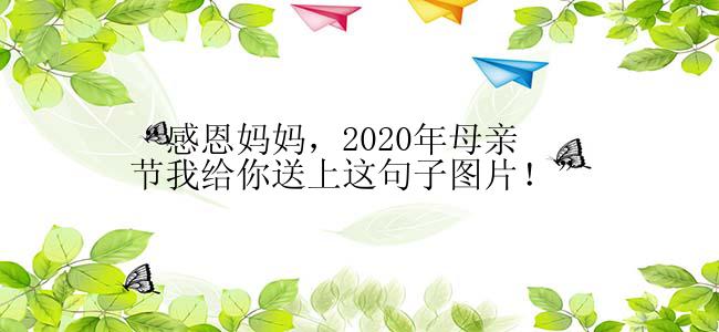 “感恩妈妈，2020年母亲节我给你送上这句子图片！”