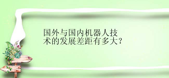 国外与国内机器人技术的发展差距有多大？