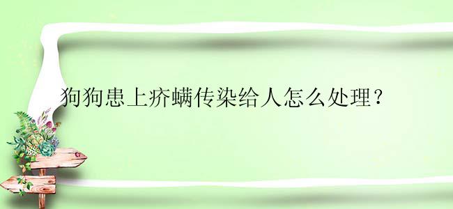 狗狗患上疥螨传染给人怎么处理？