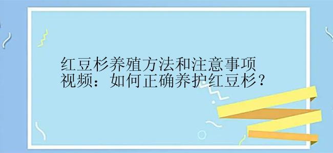 红豆杉养殖方法和注意事项视频：如何正确养护红豆杉？