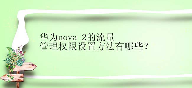 华为nova 2的流量管理权限设置方法有哪些？