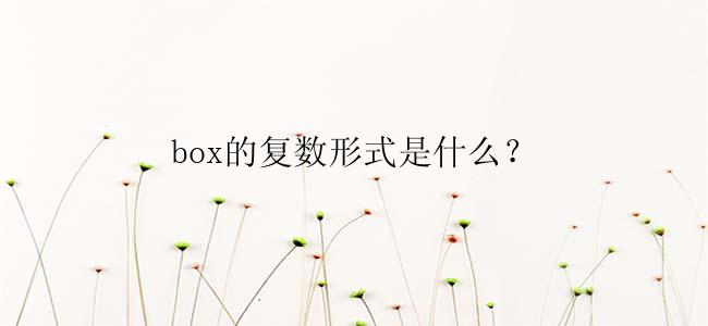 box的复数形式是什么？