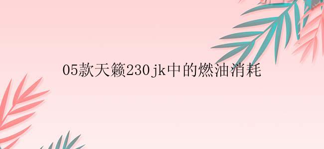 05款天籁230jk中的燃油消耗