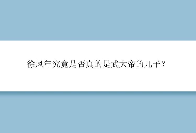 徐凤年究竟是否真的是武大帝的儿子？