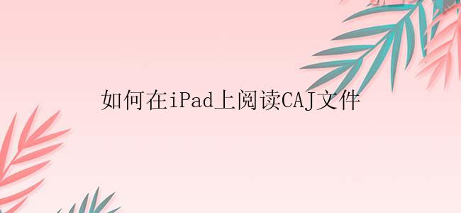 如何在iPad上阅读CAJ文件