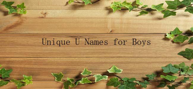 Unique U Names for Boys