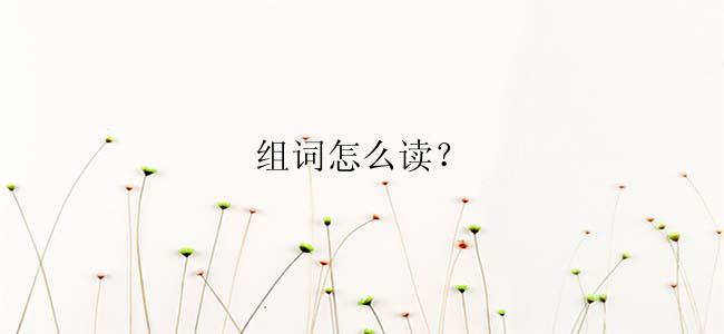 组词怎么读？