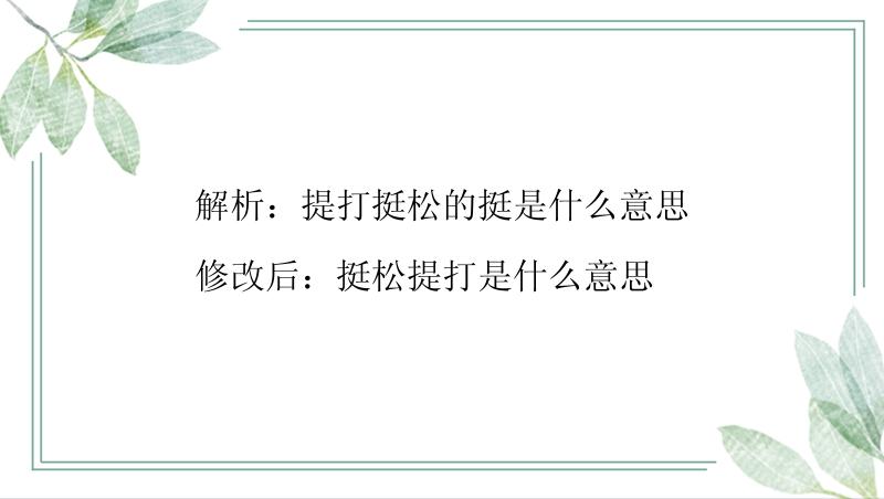 解析：提打挺松的挺是什么意思

修改后：挺松提打是什么意思