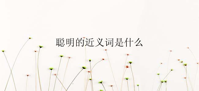 聪明的近义词是什么