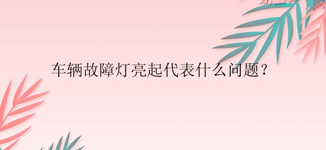 车辆故障灯亮起代表什么问题？