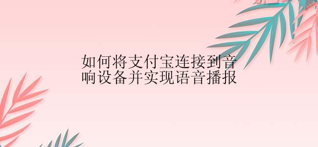 如何将支付宝连接到音响设备并实现语音播报