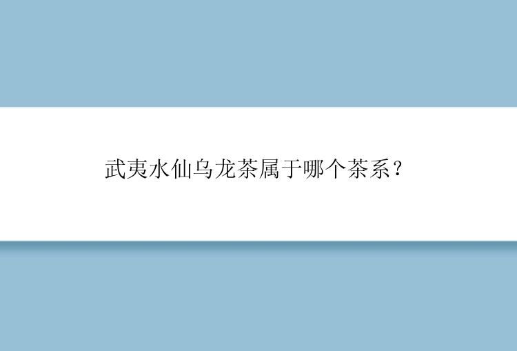 武夷水仙乌龙茶属于哪个茶系？