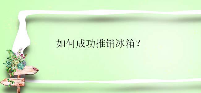 如何成功推销冰箱？