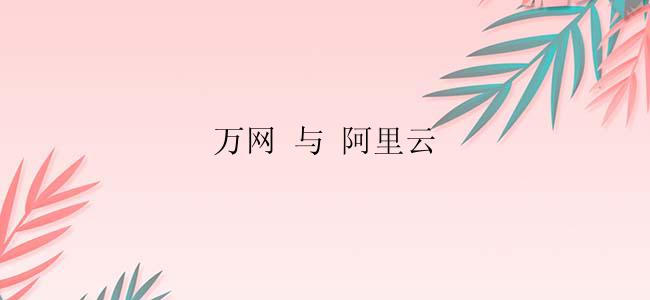 万网 与 阿里云