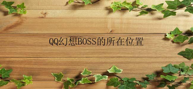 QQ幻想BOSS的所在位置