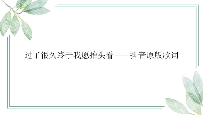 过了很久终于我愿抬头看——抖音原版歌词