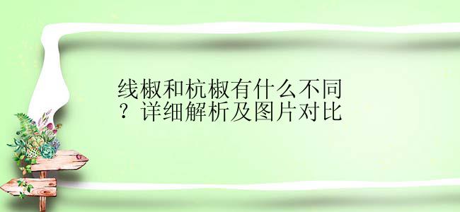 线椒和杭椒有什么不同？详细解析及图片对比