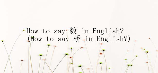 How to say 数 in English? (How to say 桥 in English?)